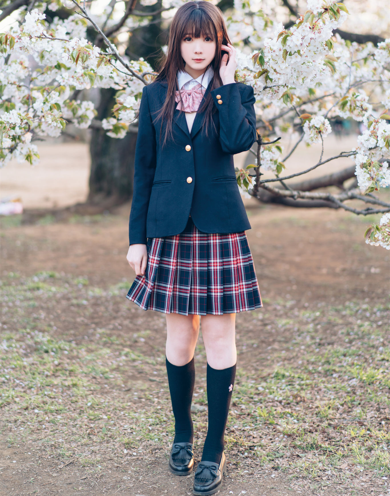 霜月shimo SPRING-COS世界