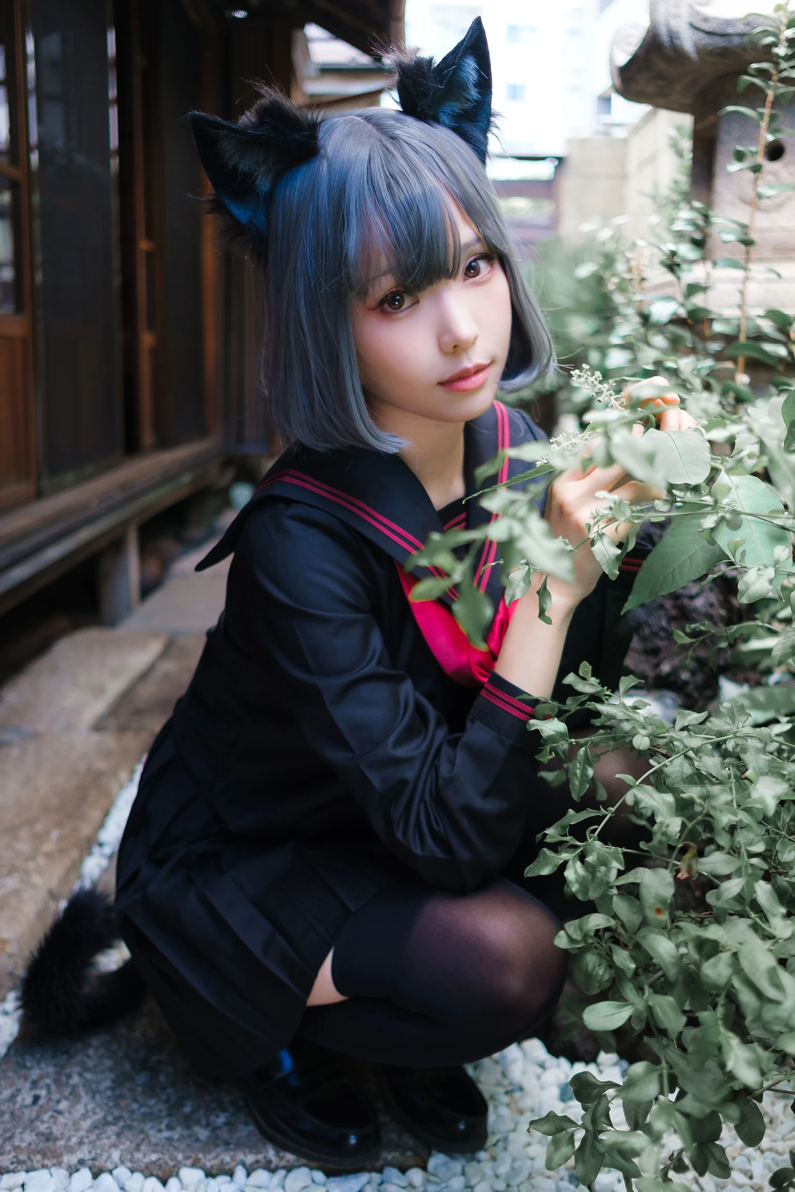 Ely_eee(ElyEE子) Veranda Black Cat緣廊黑貓-COS世界