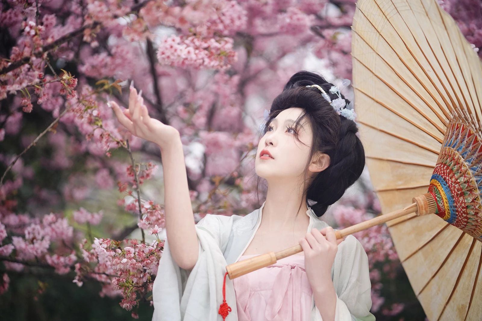 图片[4]-YITUYU艺图语 2024.04.27 春樱 树芊忆-COS世界