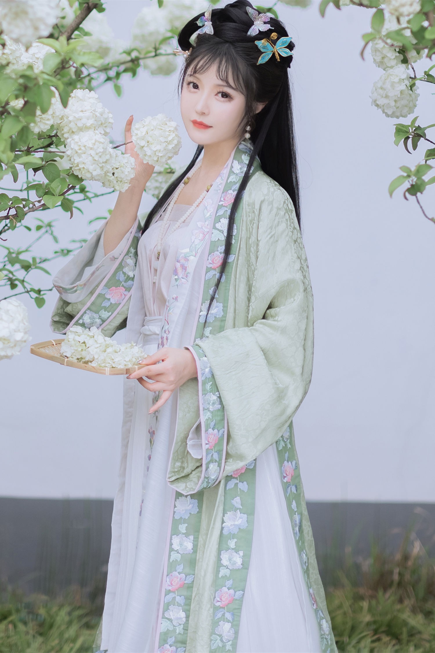 艺图语 探春-COS世界