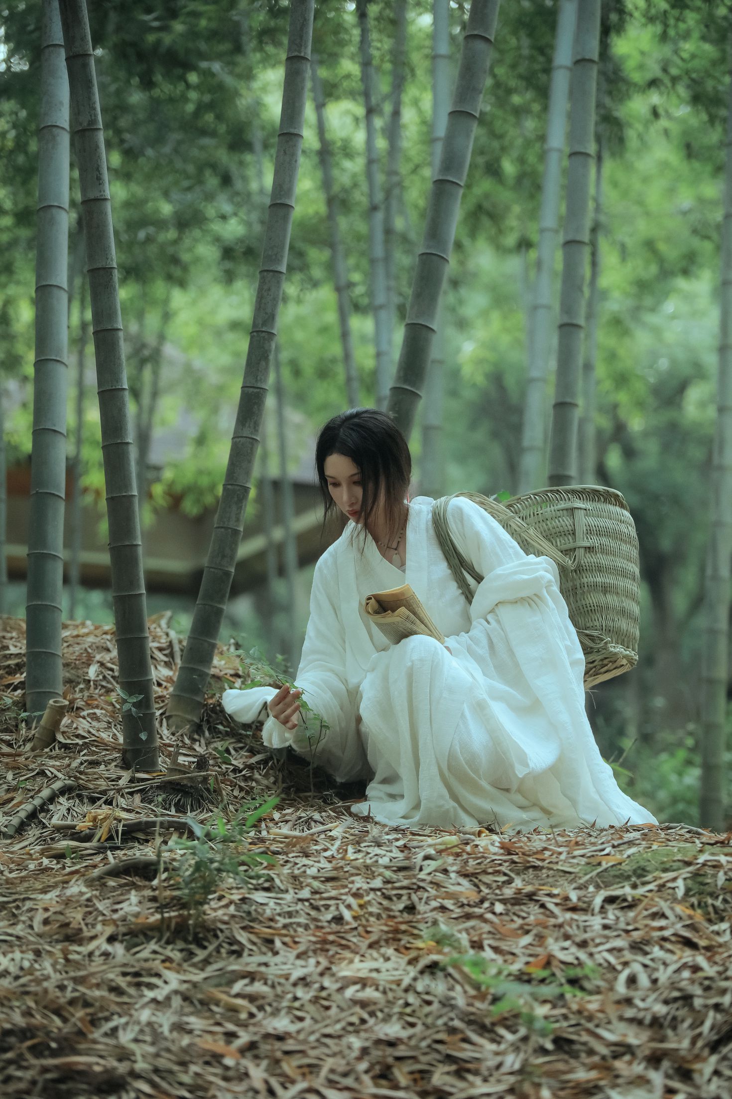 图片[3]-艺图语 神农氏-COS世界