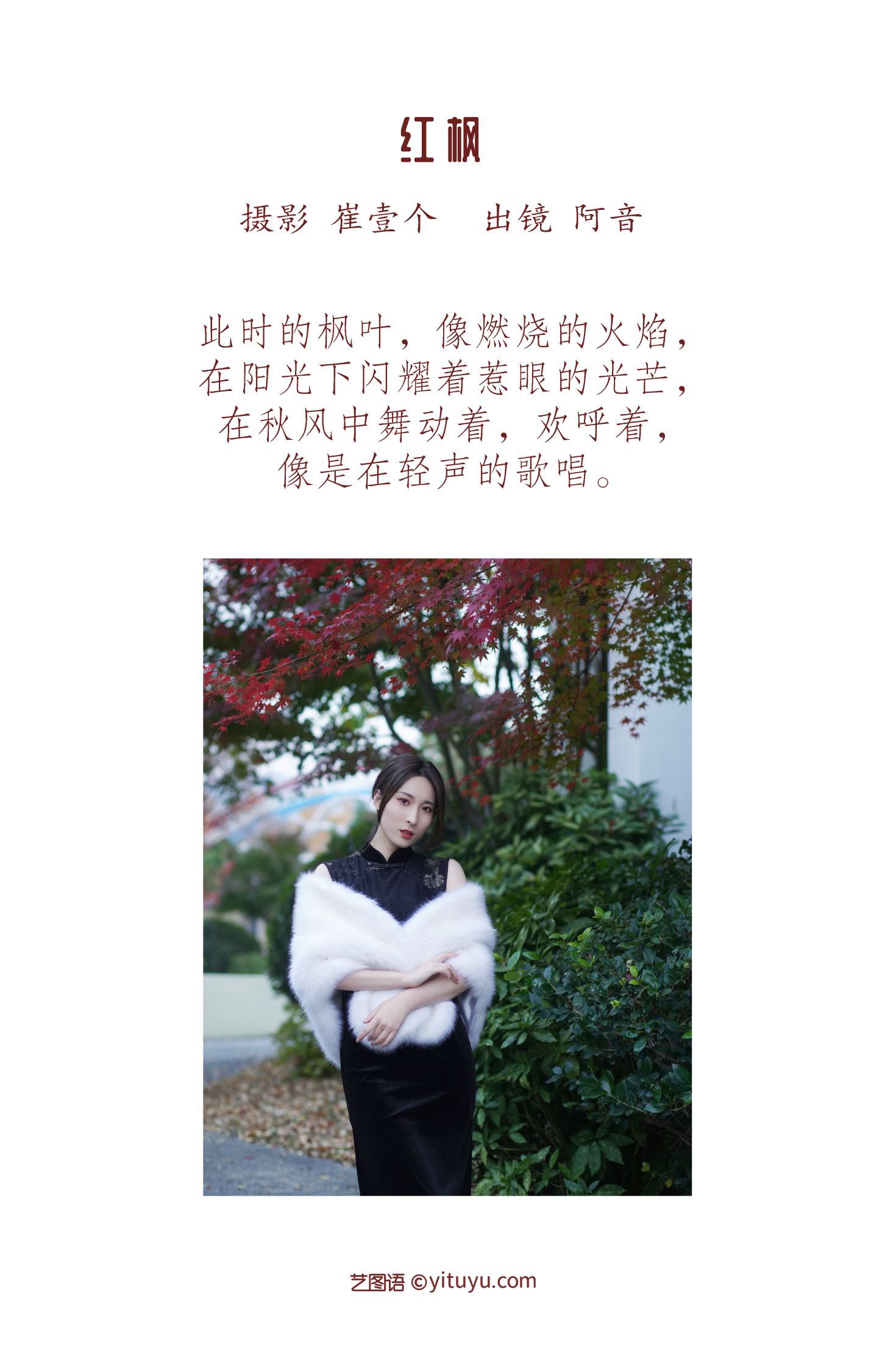 图片[2]-红枫 阿音-COS世界
